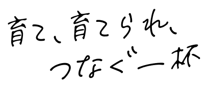 キャッチコピー画像